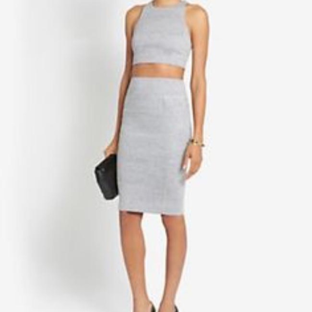 NWT Elizabeth and James Carolann Skirt Gray